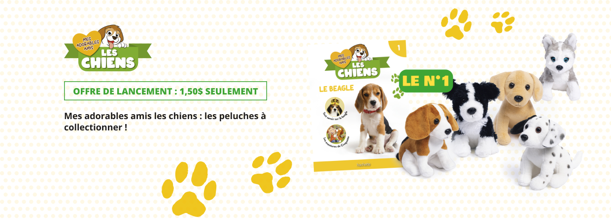 Mes adorables amis les chiens