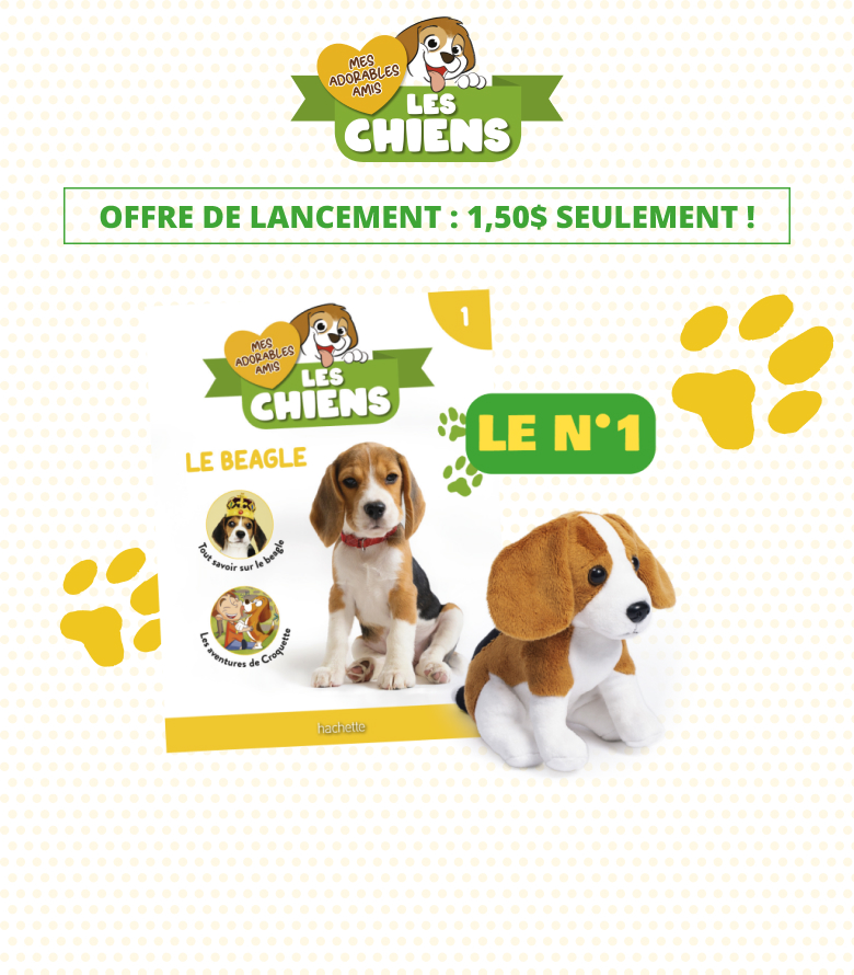 Mes adorables amis les chiens