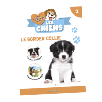 N2 : Fascicule et peluche Border Collie