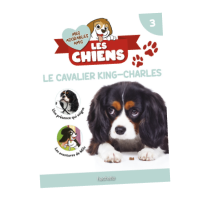 N°3 : Fascicule et peluche Cavalier King Charles OFFERT