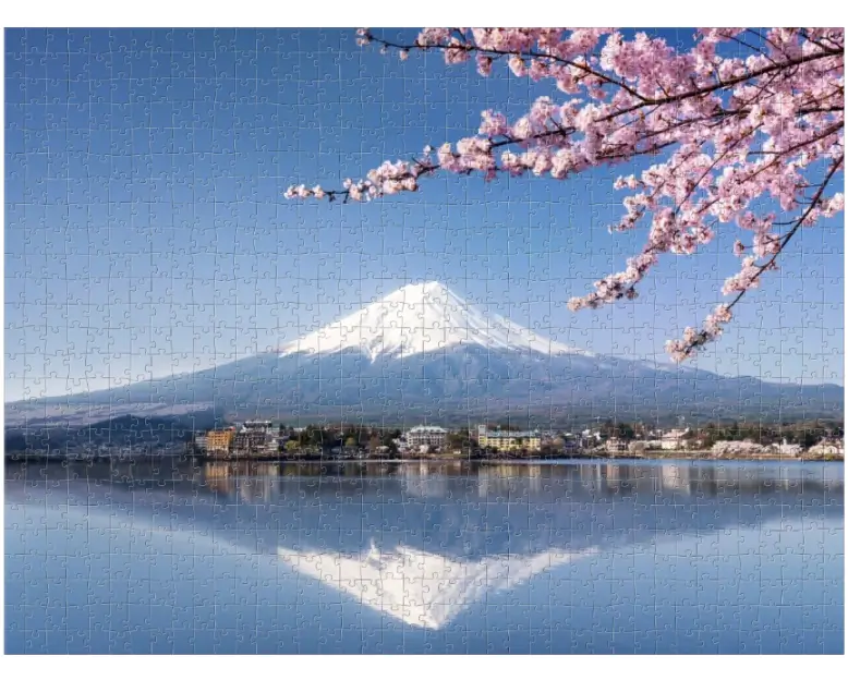 Les instructions disponibles en ligne